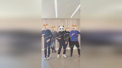 刘大锤r1se最新爆料,揭秘偶像幕后故事